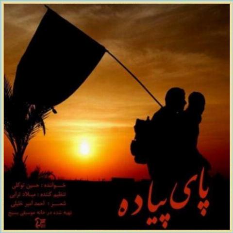 دانلود آهنگ پای پیاده از حسین توکلی دانلود آهنگ پای پیاده از حسین توکلی