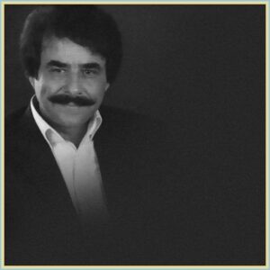 دانلود آهنگ دل شیدای من از علیرضا افتخاری