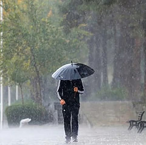 دانلود آهنگ مثل بارون اگه نباری با صدای مرد دانلود آهنگ مثل بارون اگه نباری با صدای مرد