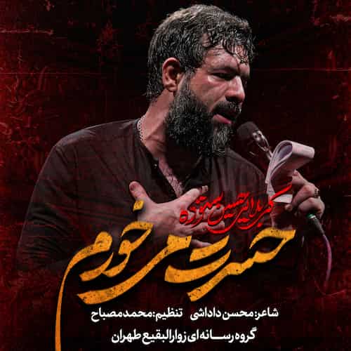 دانلود نماهنگ حسرت میخورم از حسین ستوده