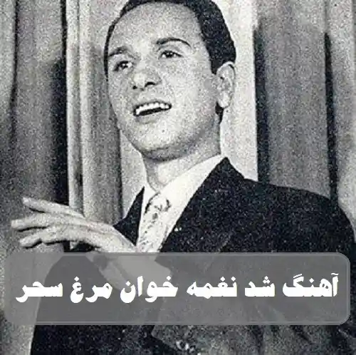 دانلود آهنگ شد نغمه خوان مرغ سحر از امین الله رشیدی دانلود آهنگ شد نغمه خوان مرغ سحر از امین الله رشیدی