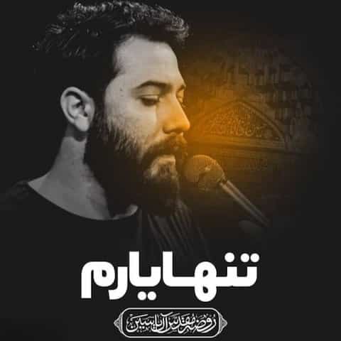 دانلود نماهنگ حسین تنها یارم از امین قدیم