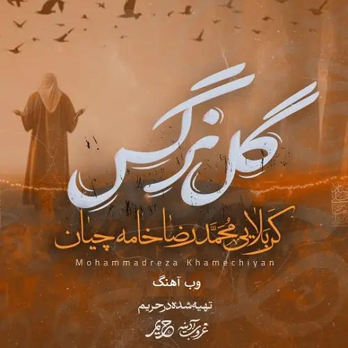 دانلود نماهنگ گل نرگس از محمدرضا خامه چیان