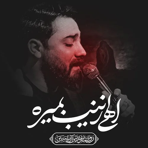 دانلود نماهنگ الهی زینب بمیره از امین قدیم دانلود نماهنگ الهی زینب بمیره از امین قدیم