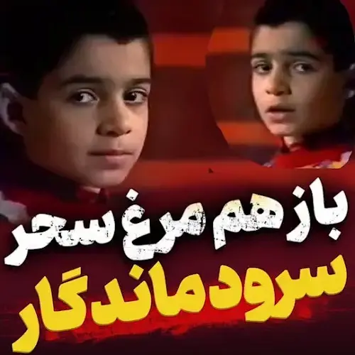 دانلود آهنگ باز هم مرغ سحر، بر سر منبر گل از حسین زاهد دانلود آهنگ باز هم مرغ سحر، بر سر منبر گل از حسین زاهد