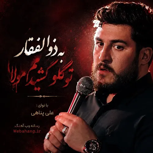 دانلود مداحی به ذوالفقار تو گلو کشیدم مولا از علی پناهی