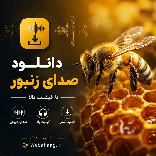 دانلود صدای زنبور عسل و وحشی صوتی دانلود صدای زنبور عسل و وحشی صوتی
