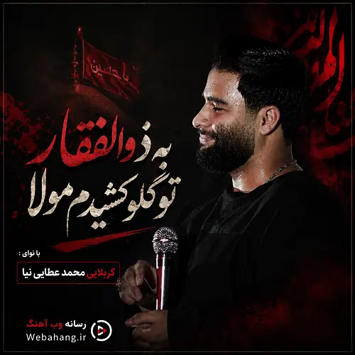 دانلود مداحی به ذوالفقار تو گلو کشیدم مولا محمد عطایی نیا