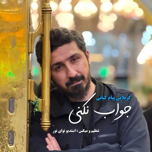 دانلود نماهنگ جواب نکنی از پیام کیانی دانلود نماهنگ جواب نکنی از پیام کیانی