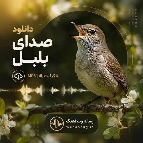 دانلود صدای آواز بلبل مست (خانگی و وحشی) دانلود صدای آواز بلبل مست (خانگی و وحشی)
