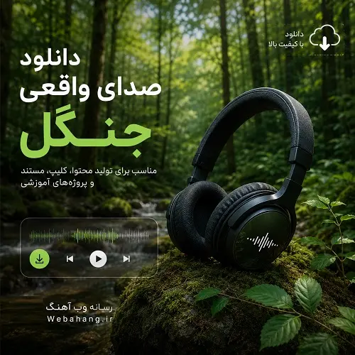 دانلود صدای جنگل واقعی با کیفیت بالا (MP3) دانلود صدای جنگل واقعی با کیفیت بالا (MP3)
