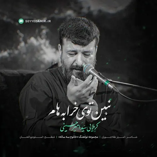 دانلود نماهنگ نبین توی خرابه هام از سید امیر حسینی