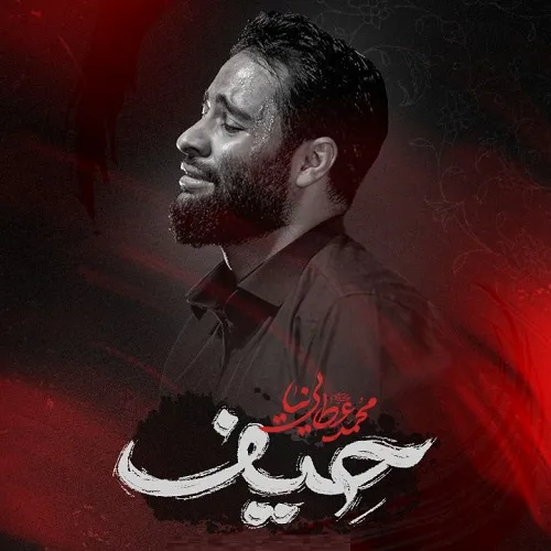 دانلود نماهنگ میشه کم نذارید محمد عطایی نیا