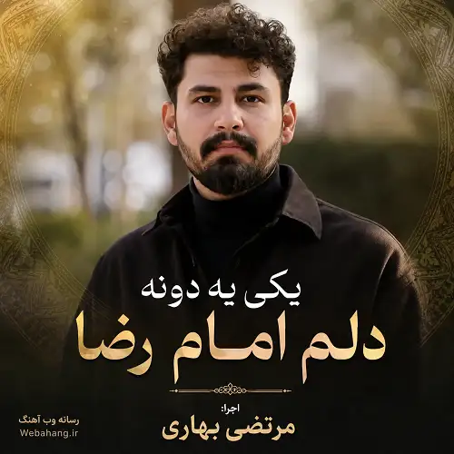 نماهنگ یکی یه دونه دلم امام رضا از مرتضی بهاری