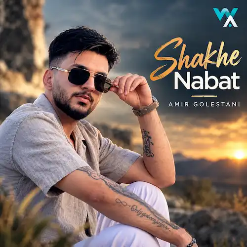 دانلود آهنگ شاخه نبات از امیر گلستانی (دیوونه میشم برام میخندی)