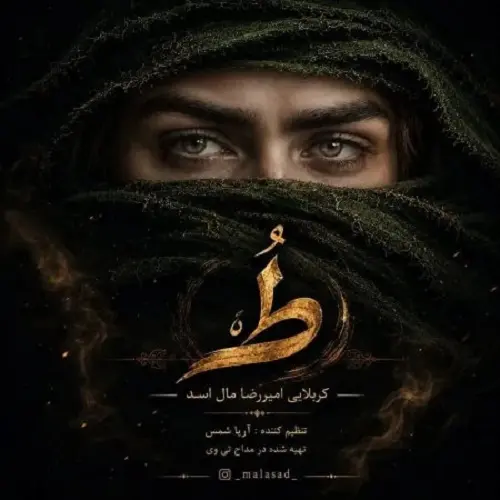 دانلود مداحی تو آرزوی منی امیررضا مال اسد