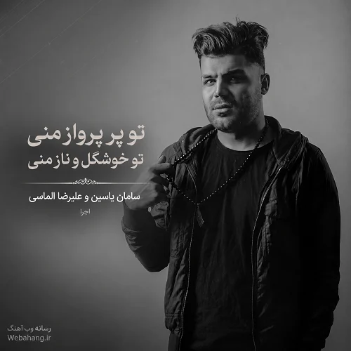 دانلود آهنگ تو پر پرواز منی تو خوشگل و ناز منی