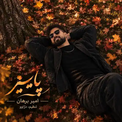 دانلود آهنگ پاییز از امیر برهان (نذار دلم بگیره وقتی کنار تو خوبه حالم) دانلود آهنگ پاییز از امیر برهان (نذار دلم بگیره وقتی کنار تو خوبه حالم)