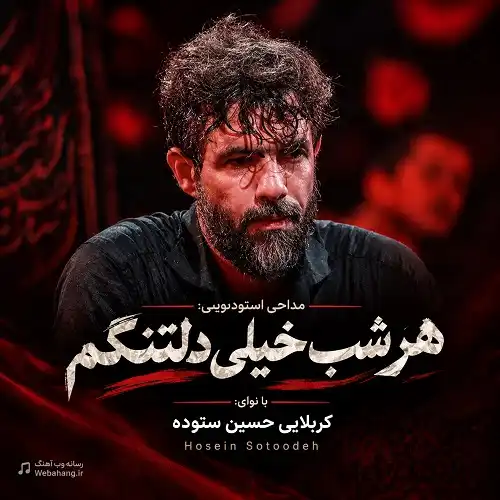 دانلود مداحی استودیویی هر شب خیلی دلتنگم از حسین ستوده دانلود مداحی استودیویی هر شب خیلی دلتنگم از حسین ستوده