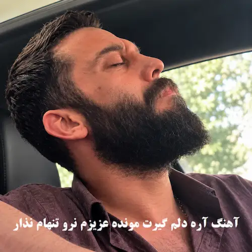 دانلود آهنگ آره دلم گیرت مونده عزیزم نرو تنهام نذار از مهدی هاشمی دانلود آهنگ آره دلم گیرت مونده عزیزم نرو تنهام نذار از مهدی هاشمی