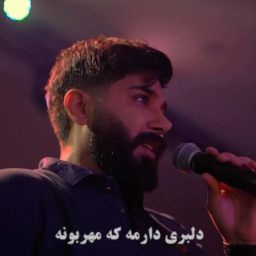 دانلود آهنگ دلبری دارمه که مهربونه از مجید احمدی (ارکستری)